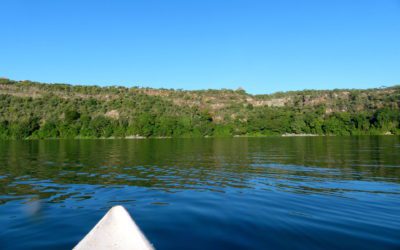 Boat Ride in Lake Naivasha