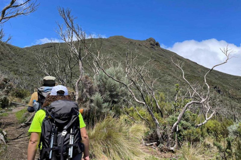 Mount Meru Hiking